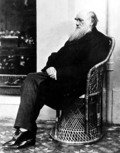 Charles Darwin poses in a wicker chair in 1875