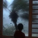 Strong winds brought on by Hurricane Maria bend a palm tree and send debris flying, in Juncos, Puerto Rico