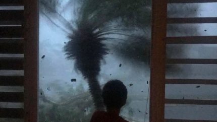 Strong winds brought on by Hurricane Maria bend a palm tree and send debris flying, in Juncos, Puerto Rico