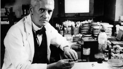 Sir Alexander Fleming, a Scottish bacteriologist discovered penicillin at St. Mary’s Hospital in London (AP Photo - File)