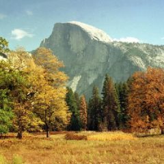 On October 1, 1890, Yosemite National Park was designated by the U.S. Congress (AP Photo-Ben Margot, FIle)