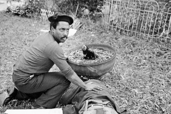  Communist Workers Organization member Nelson Johnson kneels by victim in aftermath of shooting in Greensboro (Jim Stratford-News & Record via AP)