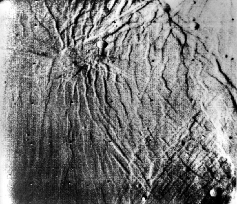 Mariner 9 went into orbit around Mars and recorded this view of the surface from an elevation of 4000 miles (AP Photo-Jet Propulsion Laboratory)