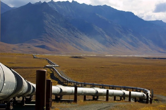  The Trans-Alaska Oil Pipeline snakes across the Alaska tundra carrying North Slope crude oil about 800 miles to Valdez, Alaska. (AP Photo-Al Grillo)