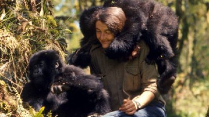 Dian Fossey