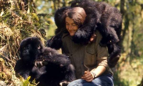 Dian Fossey