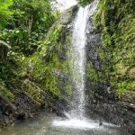 El Yunque National Forest