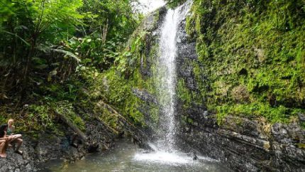 El Yunque National Forest