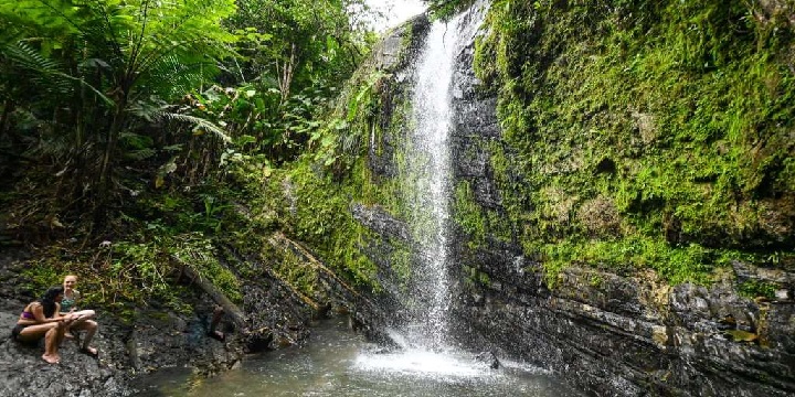 El Yunque National Forest