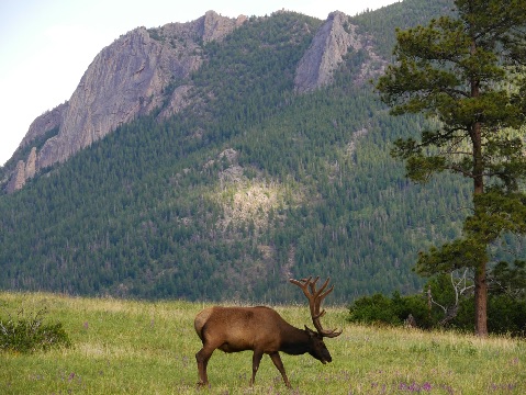 Rocky Mountain National Park