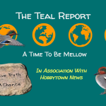 Teal Report