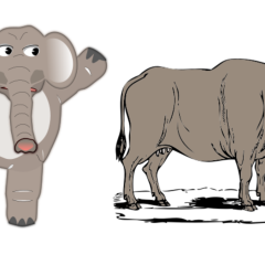 Elephant and Ox