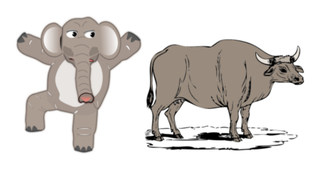 Elephant and Ox